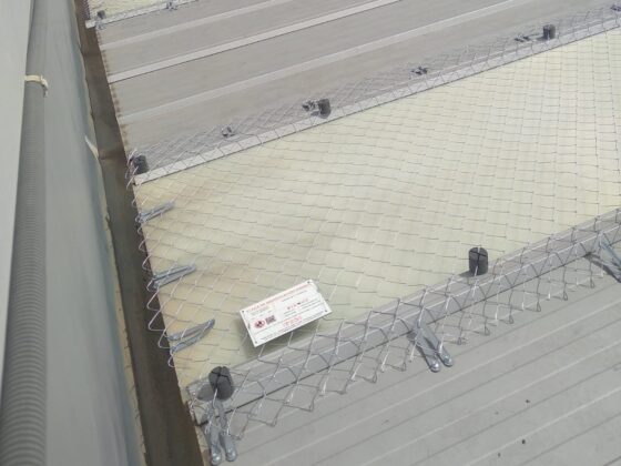 Protección de lucernarios